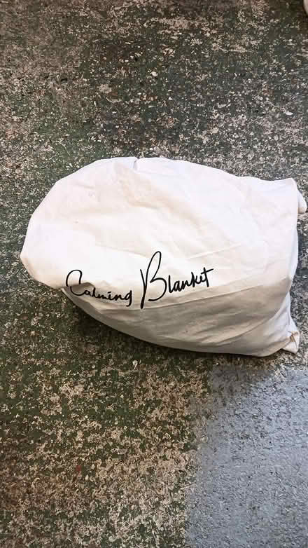 Photo of free Weighted blanket (North End PO2) #1