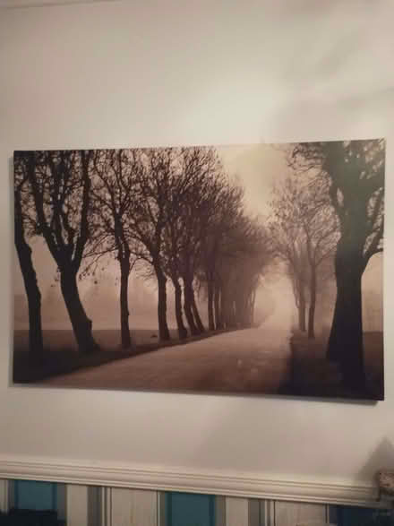 Photo of free Pictures (Aylesbury Vale HP19) #3