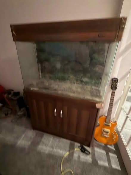 Photo of free Aquarium / fish tank (Sale M33) #1