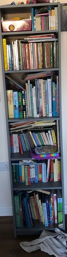 Photo of free Grey book case storage unit (Colchester CO3) #1