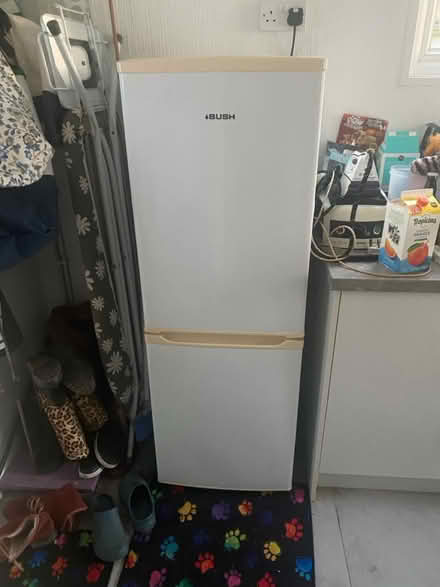 Photo of free Bush fridge freezer (Bexhill) #1