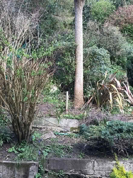 Photo of Garden fork / garden waste bag (CT20) #1