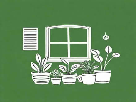 Photo of free House plants (Coombe Dingle BS9) #2