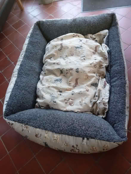 Photo of free dog bed (Nyetimber PO21) #1