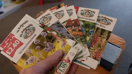 Photo of free Flower Seeds (AB15) #1