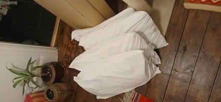 Photo of free Pillows, Used (CT11) #1