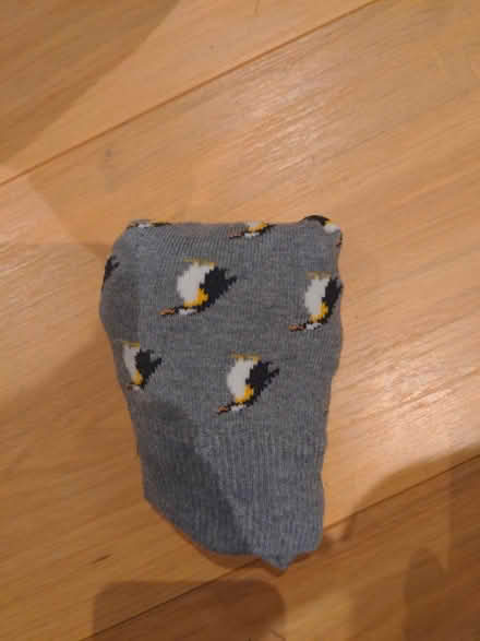 Photo of free One pair of m&S penguin socks 9-12 (Stannington S6) #1