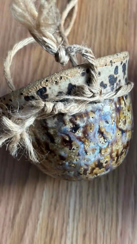 Photo of free Succulent pot (Columbia) #3