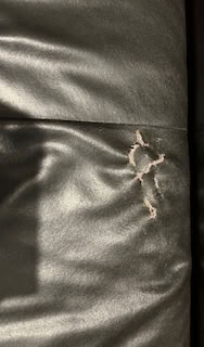 Photo of free brown couch to renovate (st heliers - auckland) #1