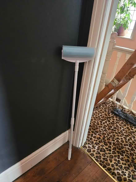 Photo of free Extending washable lint brush (BS5) #1