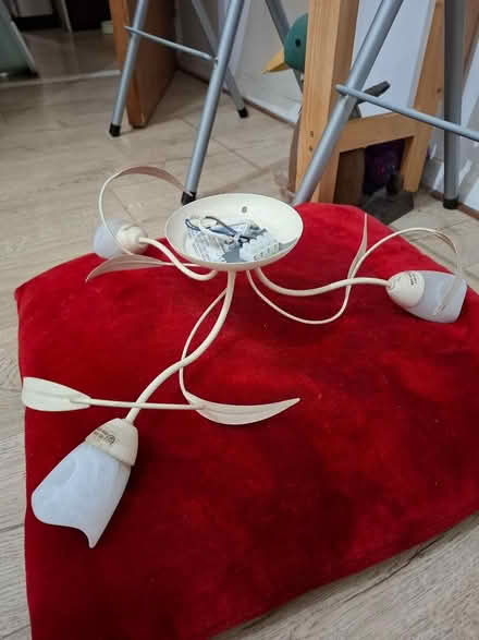 Photo of free Light fittings (Orford WA2) #2