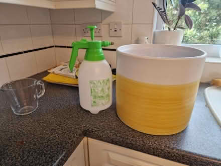 Photo of free Large ceramic planter + mister (Bournemouth BH2) #1