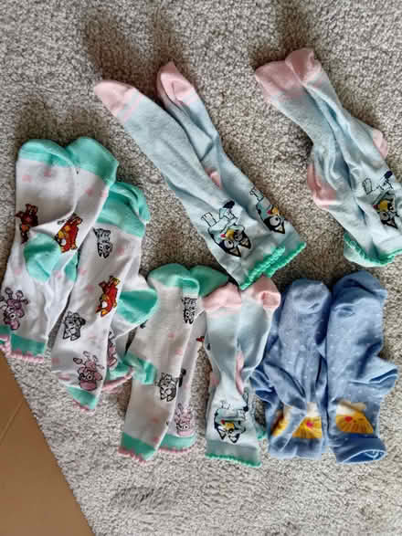 Photo of free Socks- infant sized 9-12 (Corsham SN13) #1
