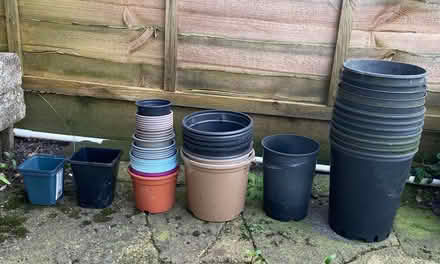 Photo of free Plant pots (Widmore BR2) #1