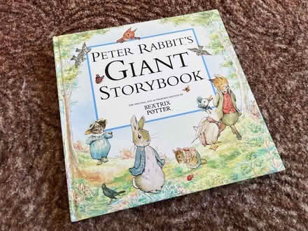 Photo of free Peter Rabbit storybook (vey large) (Eastbourne BN21) #1