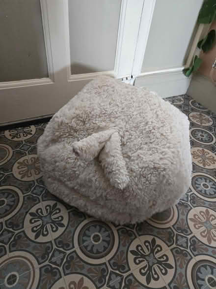 Photo of free Vintage Ikea rabbit pouffe (BS5) #3