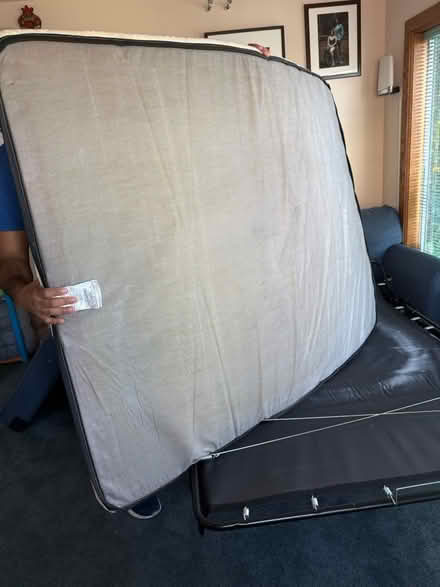 Photo of free Blue sofa bed (Castro Valley) #4