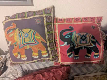 Photo of free Cushions (M20 Withington) #2