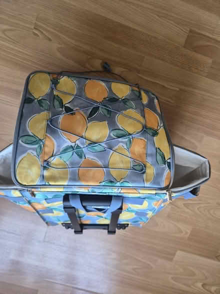 Photo of free Large cool bag on wheels (HA7) #1