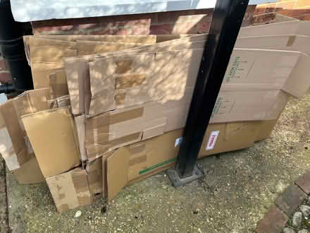 Photo of free Tree/Plant Packing Boxes (TN31) #2
