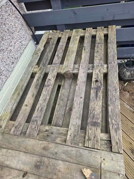 Photo of free Pallets (Bonnyrigg EH19) #3