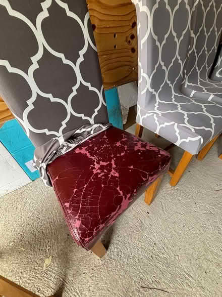 Photo of free 8 oak scroll back dining chairs (West Pennard BA6) #2