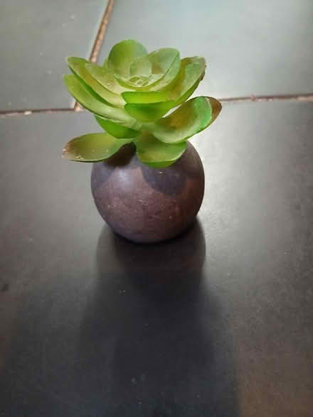 Photo of free Fake plant (Weeke SO22) #1