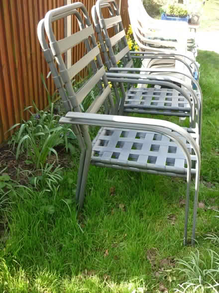 Photo of free Metal chair frames (Westfield NR19) #3