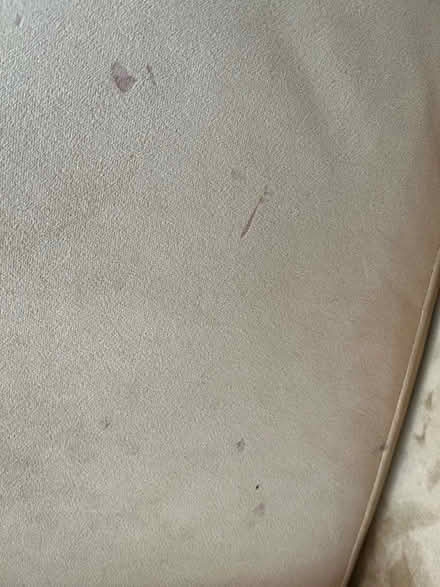 Photo of free Mustard Coloured Swivel Love Seat (CH42) #3