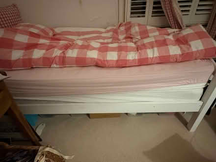 Photo of free Single bed (Drayton Park N5) #2