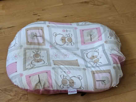 Photo of free Newborn baby cushion (Battle RG30) #1