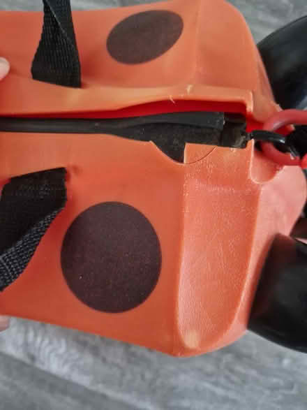 Photo of free Trunki - Ladybug (Croxteth L11) #3