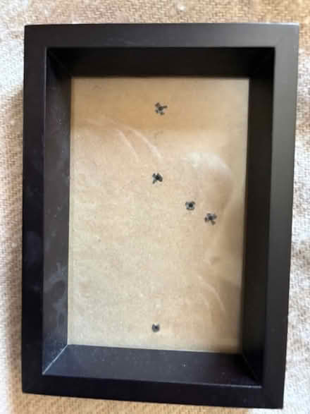 Photo of free Small Picture Frames (Orleans) #2