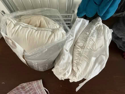 Photo of free Old feather pillows and some new single and double duvets (Portslade Village BN41) #1