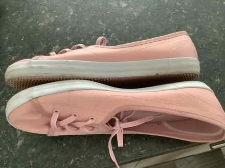 Photo of free Ladies Lacoste trainers size 6 (Heybridge CM9) #4