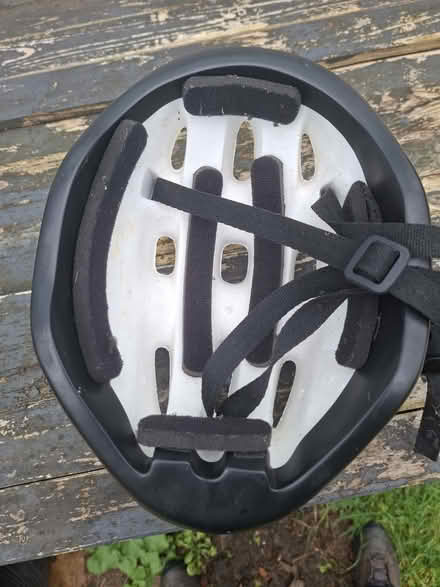 Photo of free Gardening stuff (Dursley, Cam) #4