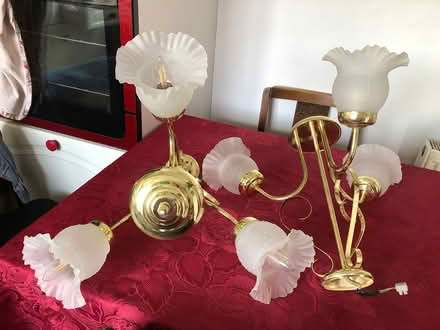 Photo of free Ceiling Lights (Tuffley Gloucester) #1