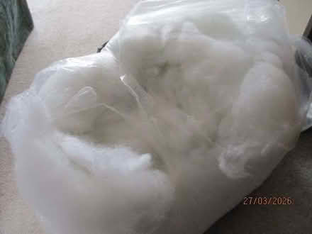 Photo of free toy stuffing. (Innsworth GL3) #1