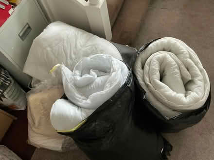 Photo of free Old feather pillows and some new single and double duvets (Portslade Village BN41) #2