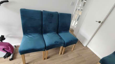 Photo of free Six chairs with covers (Sawston CB22) #2