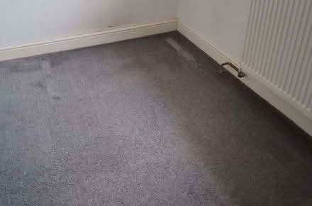 Photo of free Approx 3m x 3.3m grey carpet (Beaconsfield HP9) #4
