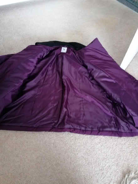Photo of free Ladies puffer style jacket (Langney BN23) #2