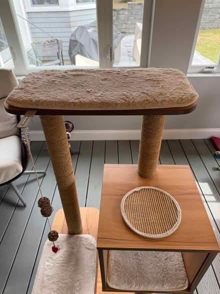Photo of free Cat Tower (Coolidge Corner, Brookline) #4