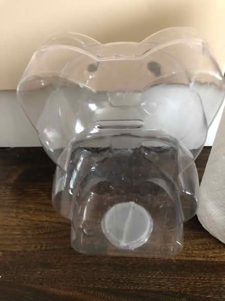 Photo of free Transparent Teddy Bear Bank (Midtown Toronto) #2