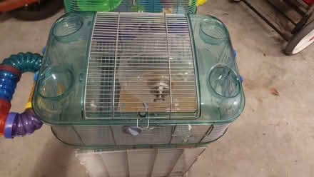 Photo of free Hamster cages (Bowie, Pointer Ridge) #2