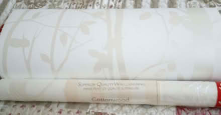 Photo of free Wallpaper (Pipers Ash CH2) #1