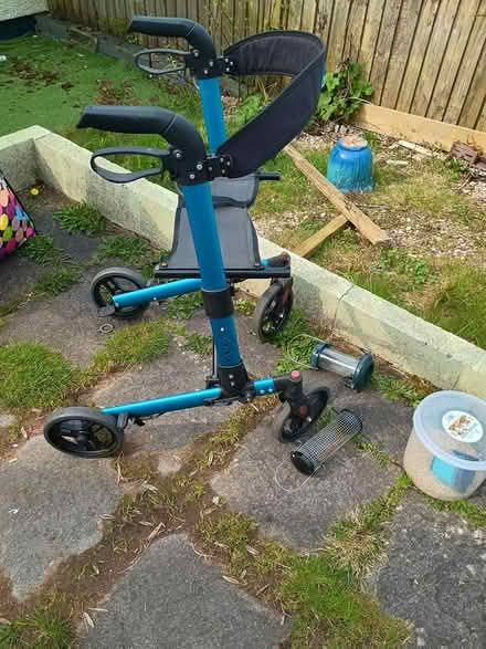 Photo of free walker (Totnes TQ9) #1