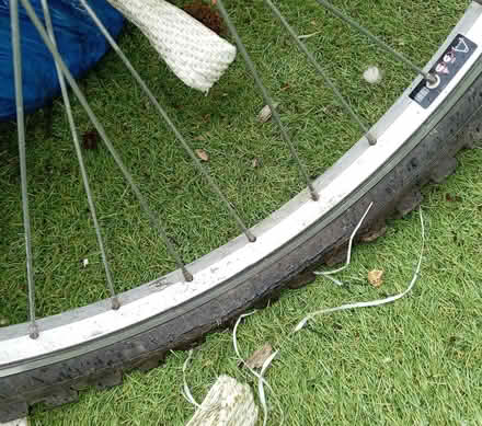 Photo of free Ladies Apollo Twilight Bike (Bishops Caundle, Sherborne DT9) #4