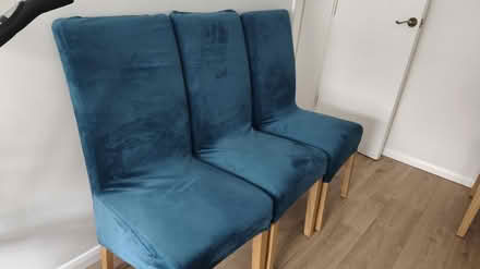 Photo of free Six chairs with covers (Sawston CB22) #1
