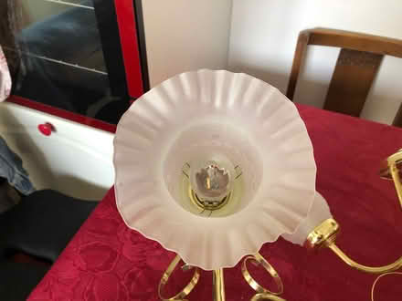 Photo of free Ceiling Lights (Tuffley Gloucester) #3